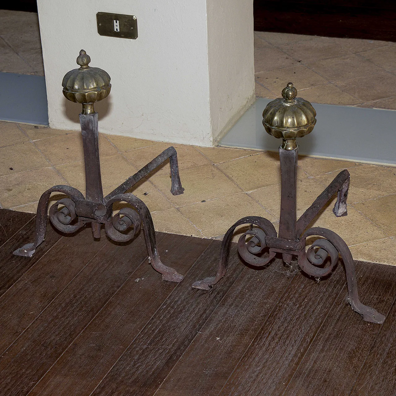 Pair of wings with machined metal pomes, late 19th century 5