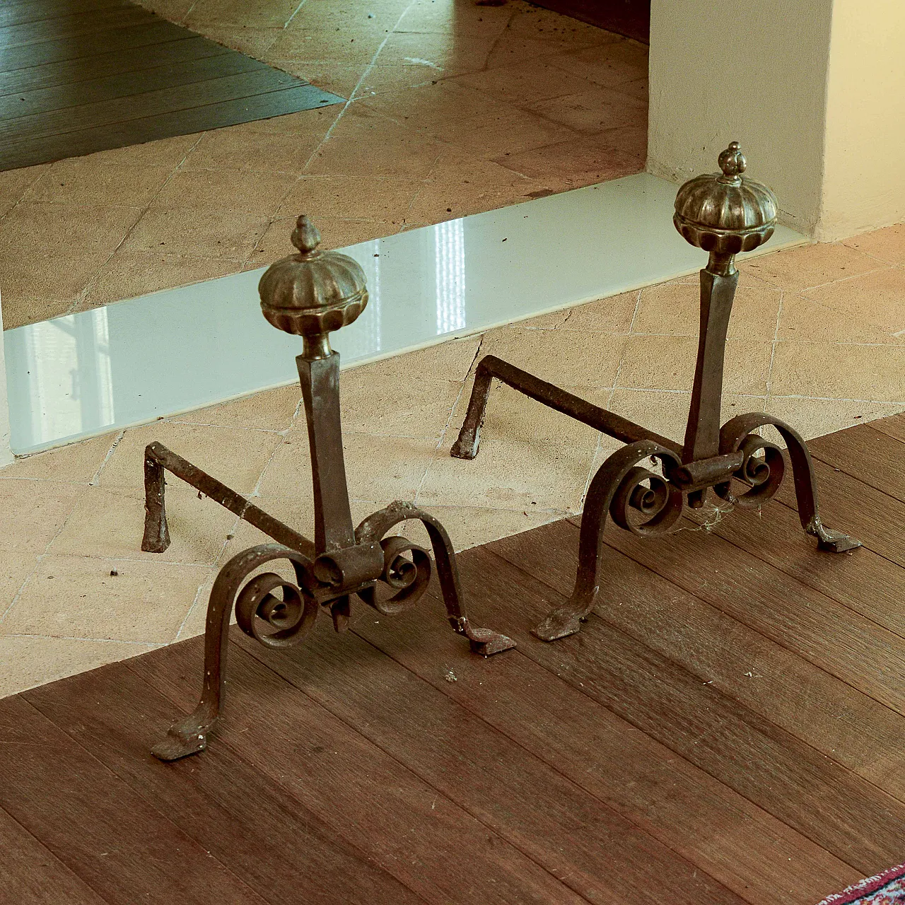 Pair of wings with machined metal pomes, late 19th century 7