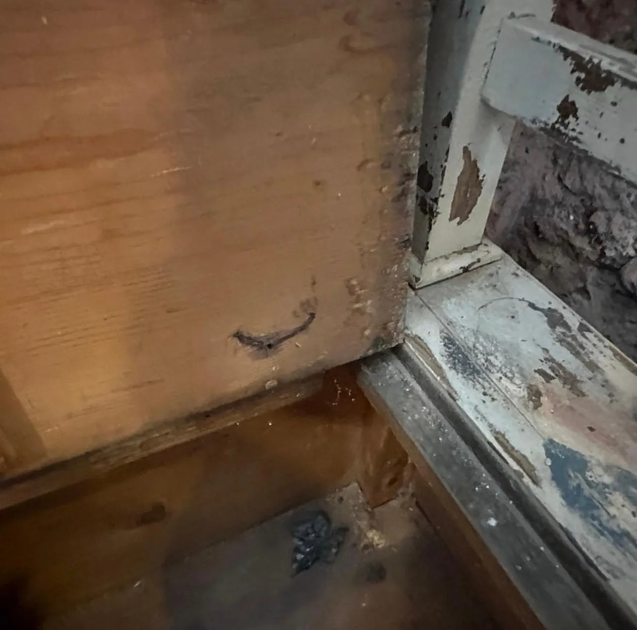 Cassapanca in legno di abete laccato con schienale, '800 10