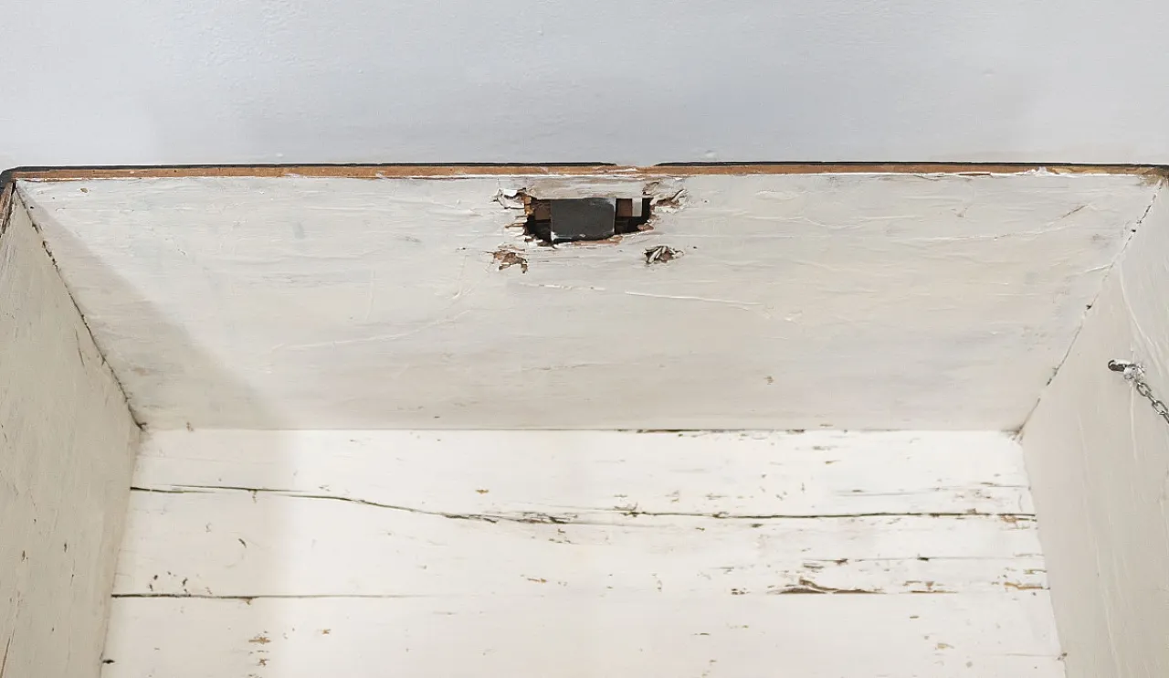 Decorated fir wood trunk Champagne Dom Perignon, late 19th century 11