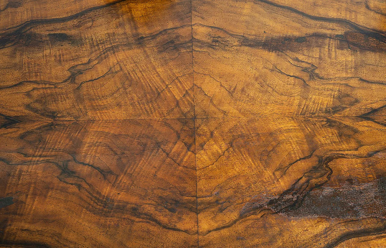 Biedermeier commode in walnut root, late 19th century 4