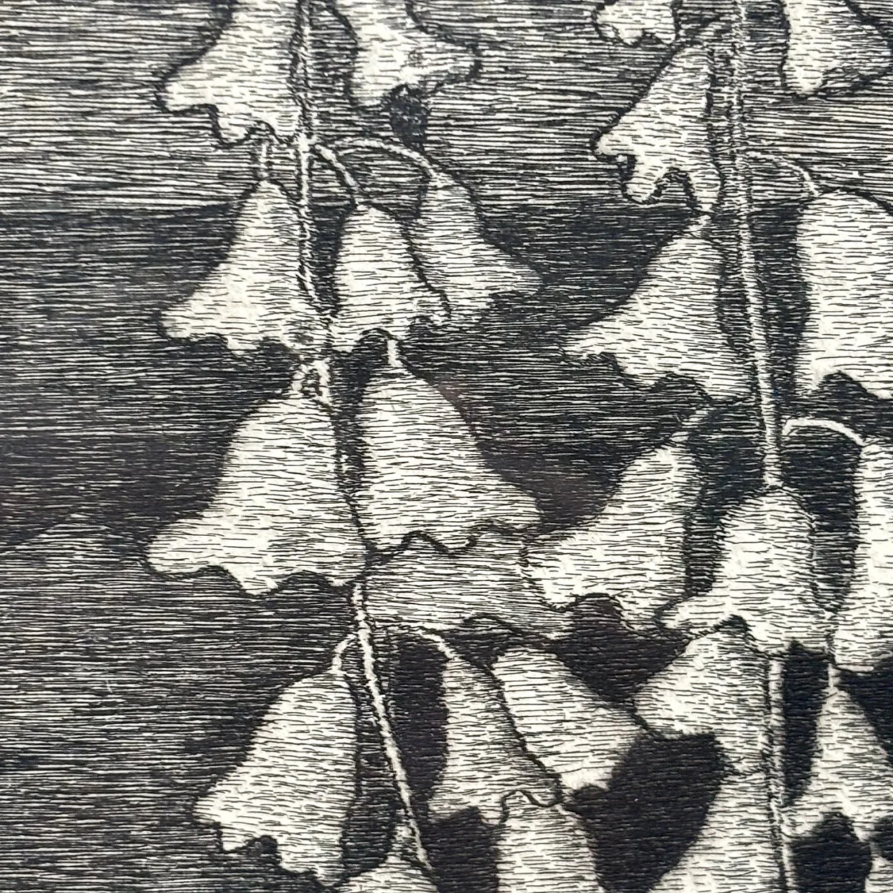 Engraving by Giuseppe Viviani Cabin Sul Mare, 1956 4