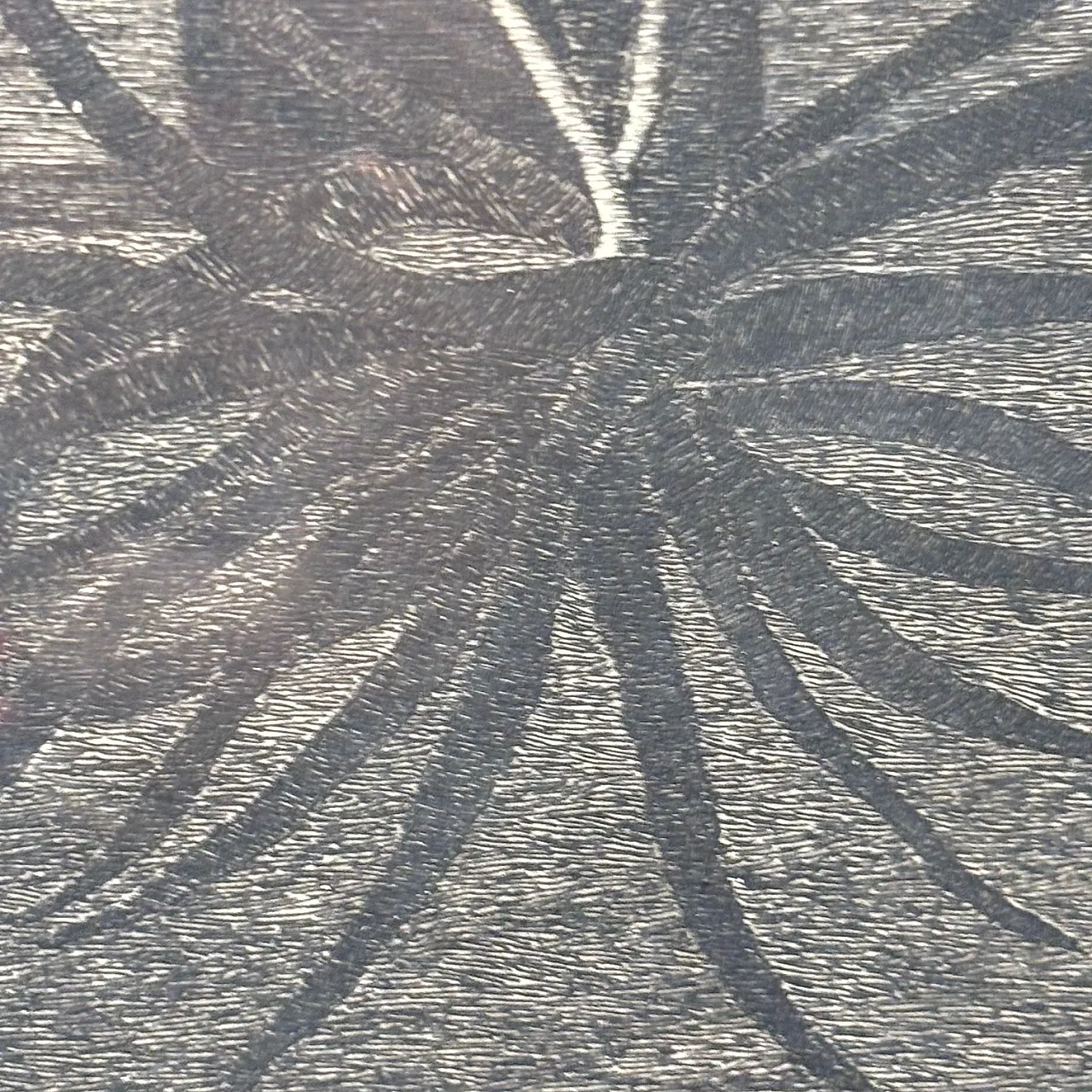 Engraving by Giuseppe Viviani Cabin Sul Mare, 1956 5
