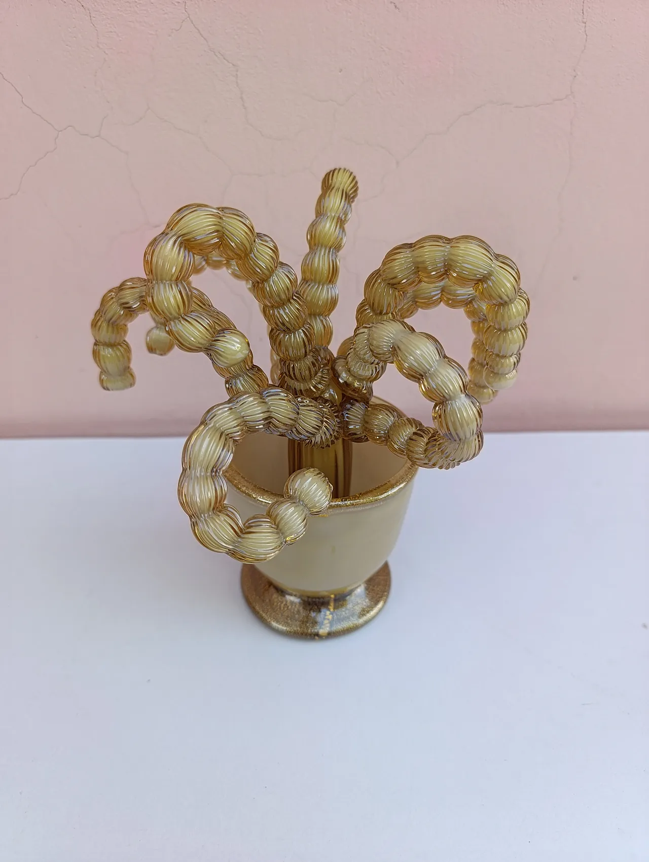 Succulent plant Napoleone Martinuzzi, 50s 2