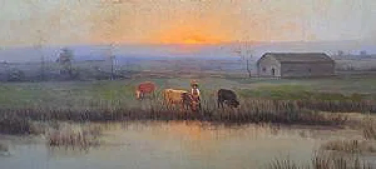 Campagna lombarda di G. Bazzani, olio su tavola, '900 3