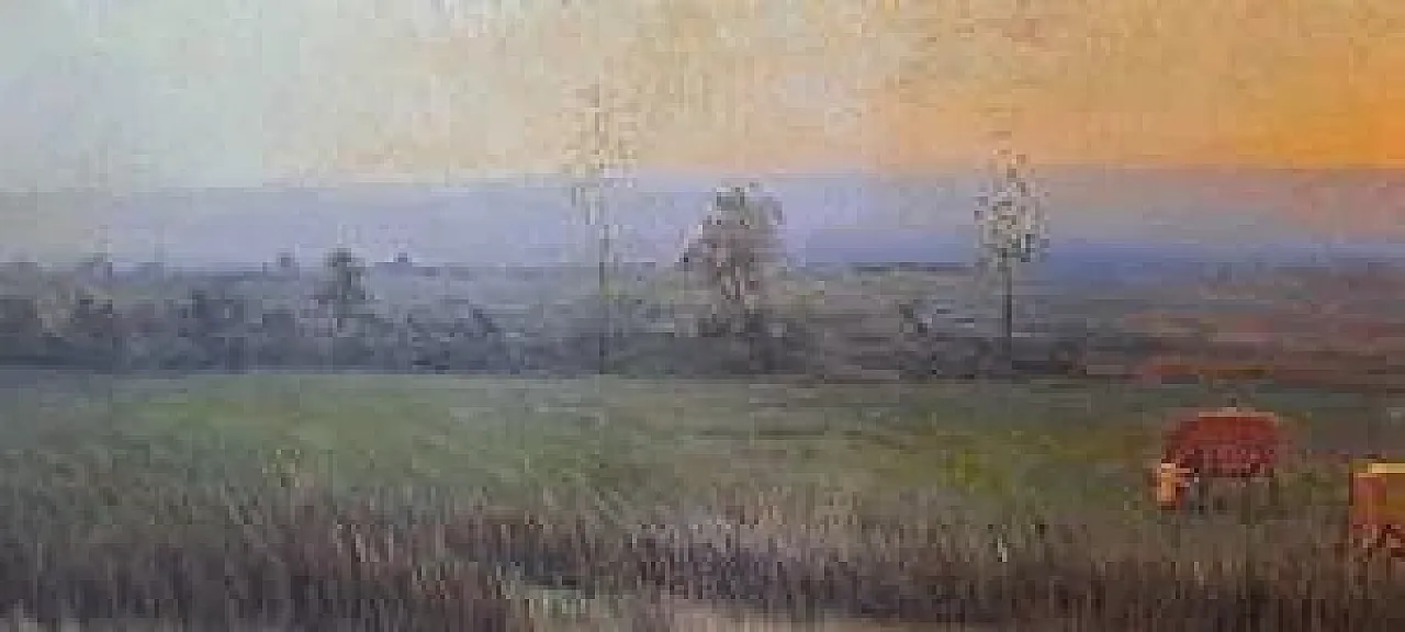 Campagna lombarda di G. Bazzani, olio su tavola, '900 5