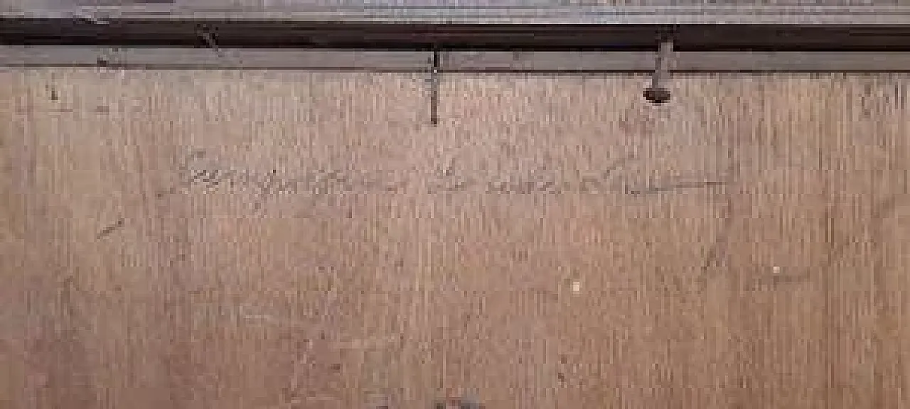 Campagna lombarda di G. Bazzani, olio su tavola, '900 8