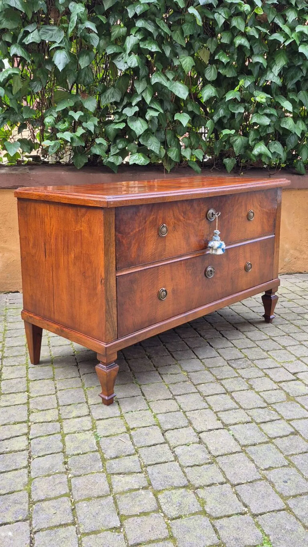 Cassettone lastronato in noce e radica, metà '800 3