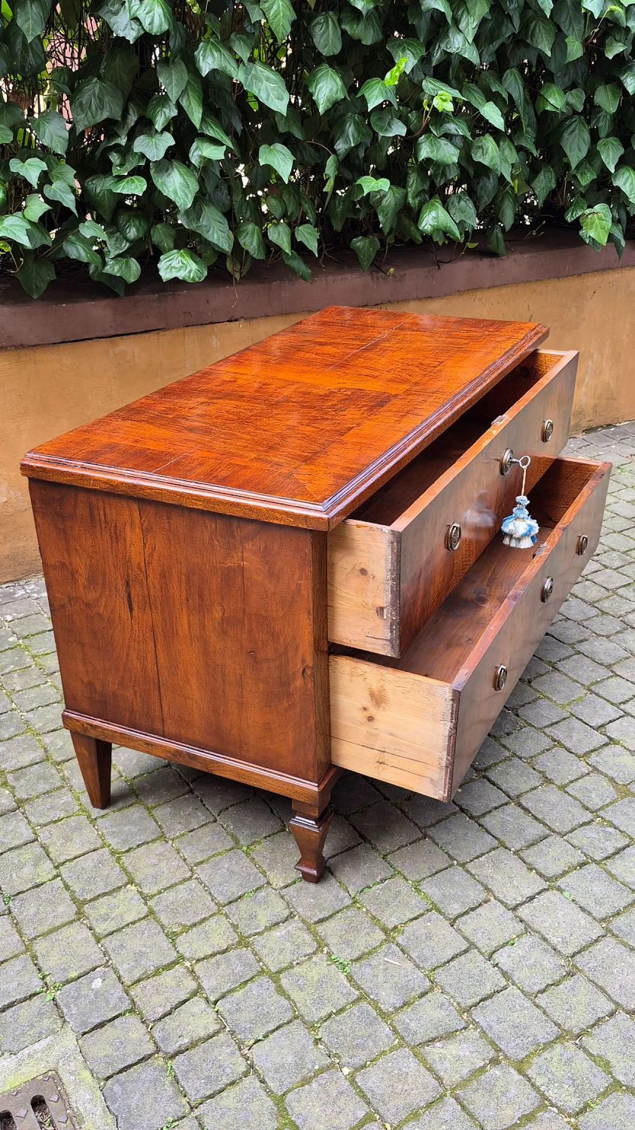 Cassettone lastronato in noce e radica, metà '800 4