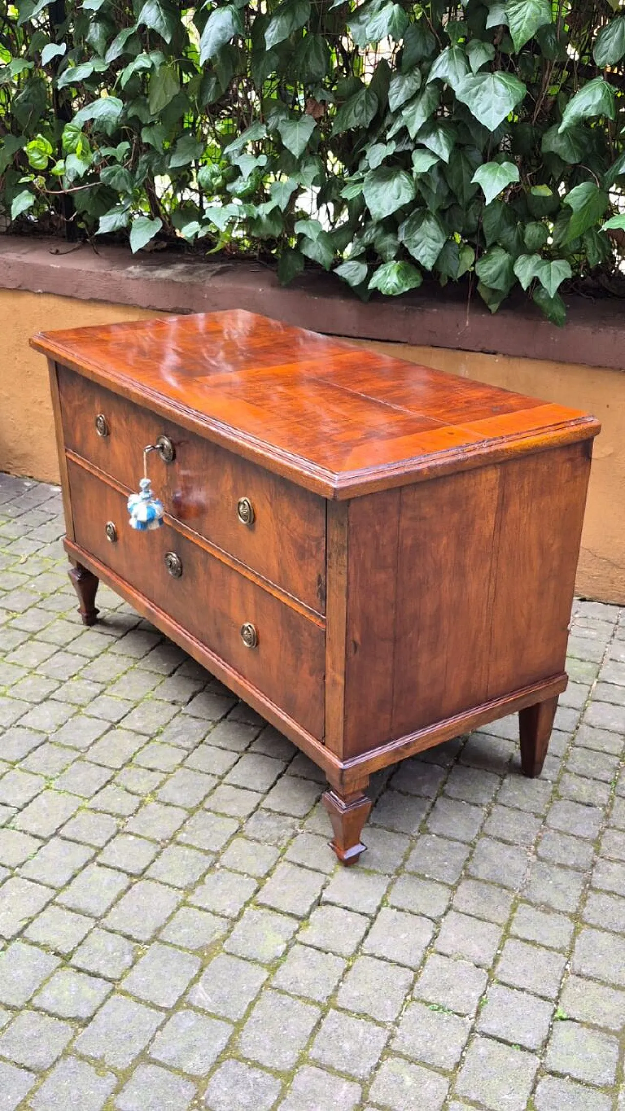 Cassettone lastronato in noce e radica, metà '800 5