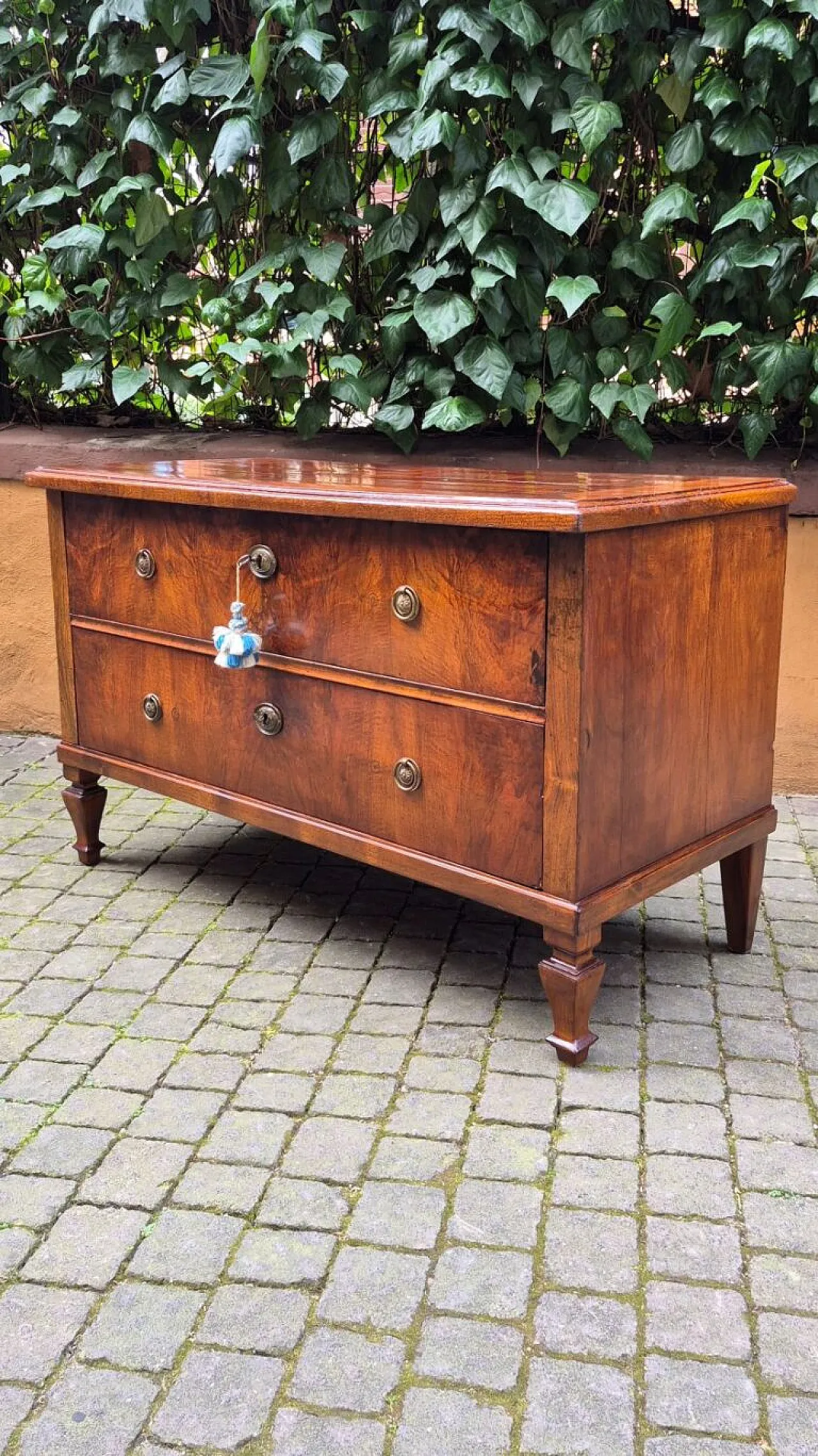 Cassettone lastronato in noce e radica, metà '800 6