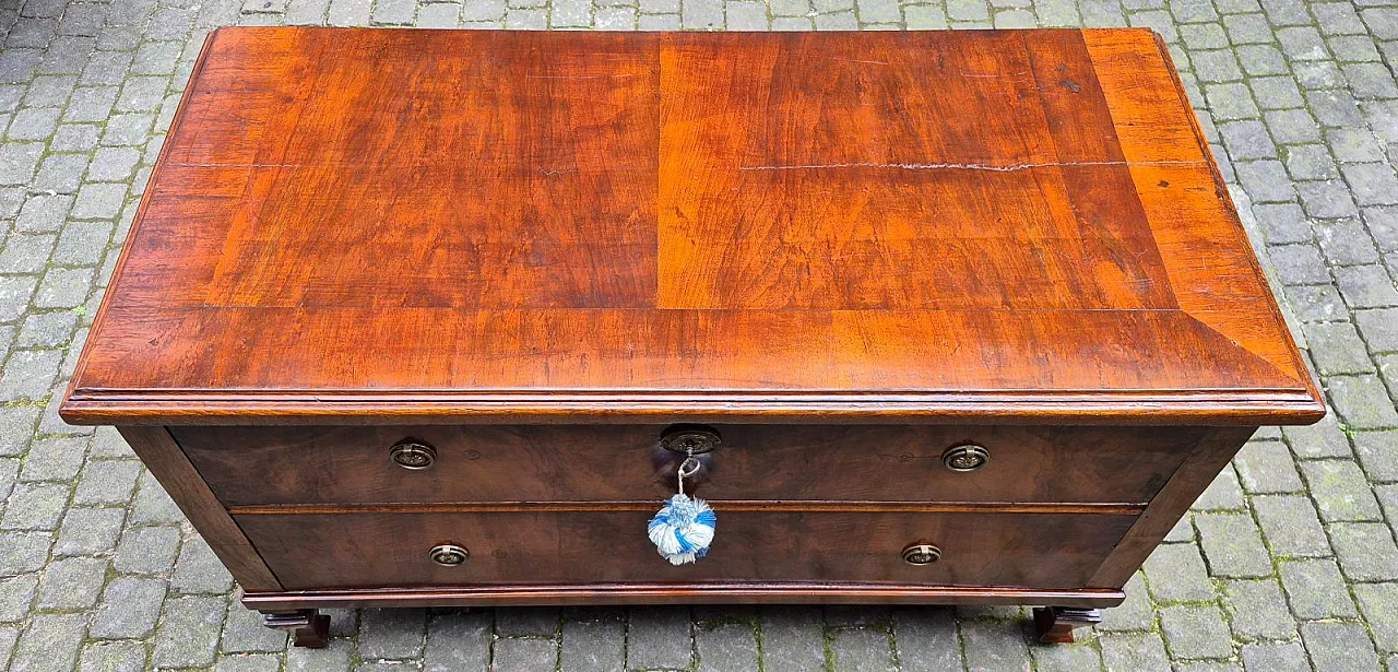 Cassettone lastronato in noce e radica, metà '800 8