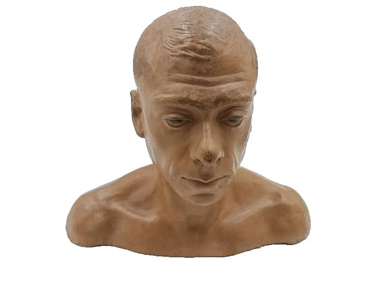 Male portrait, terracotta bust of Cesarino Vincenzi, 20th century 1