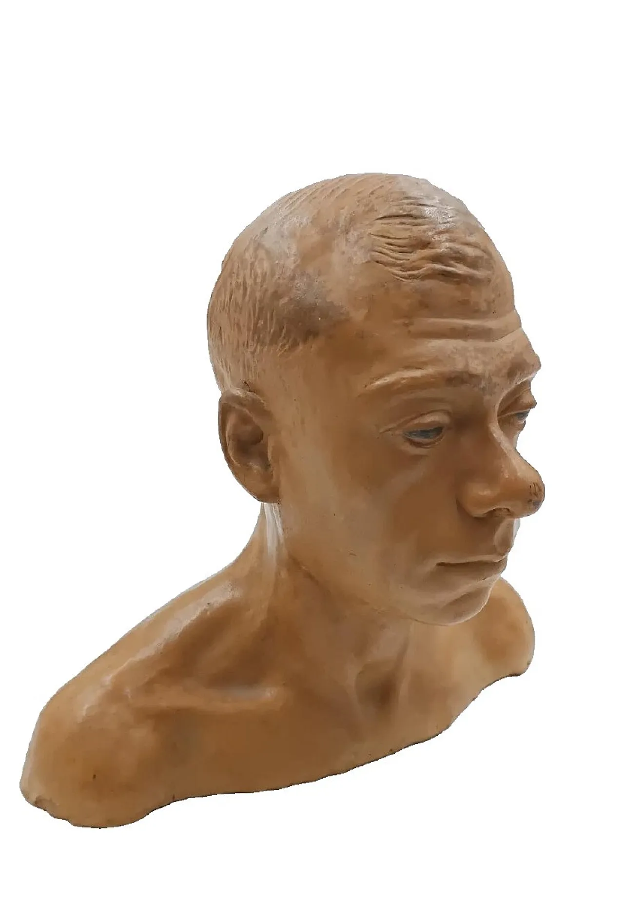 Male portrait, terracotta bust of Cesarino Vincenzi, 20th century 2