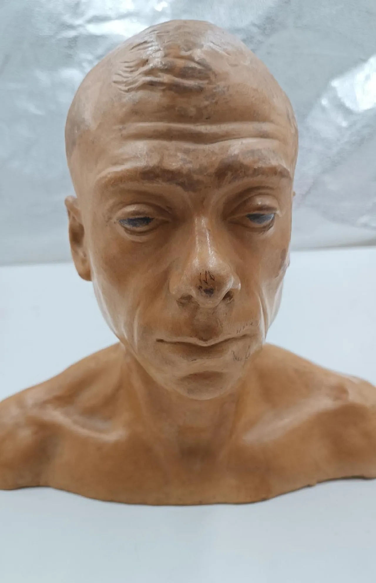 Male portrait, terracotta bust of Cesarino Vincenzi, 20th century 4