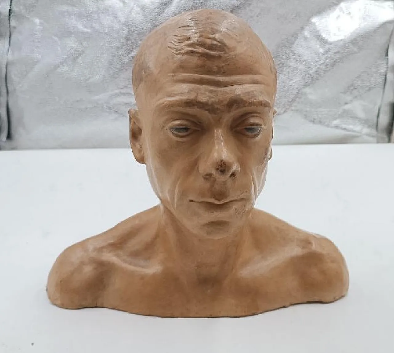 Male portrait, terracotta bust of Cesarino Vincenzi, 20th century 10