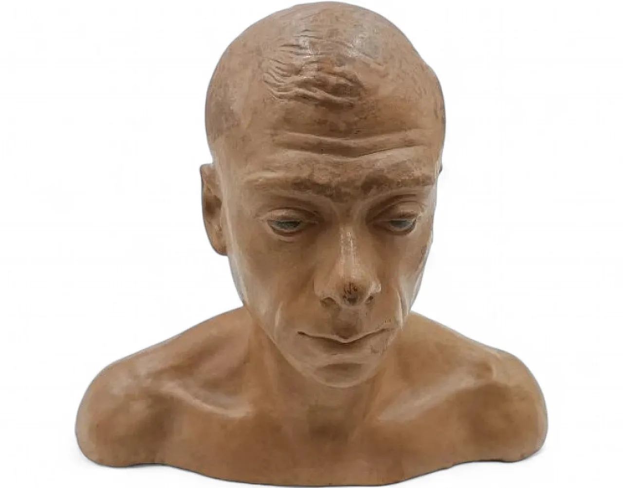 Male portrait, terracotta bust of Cesarino Vincenzi, 20th century 11
