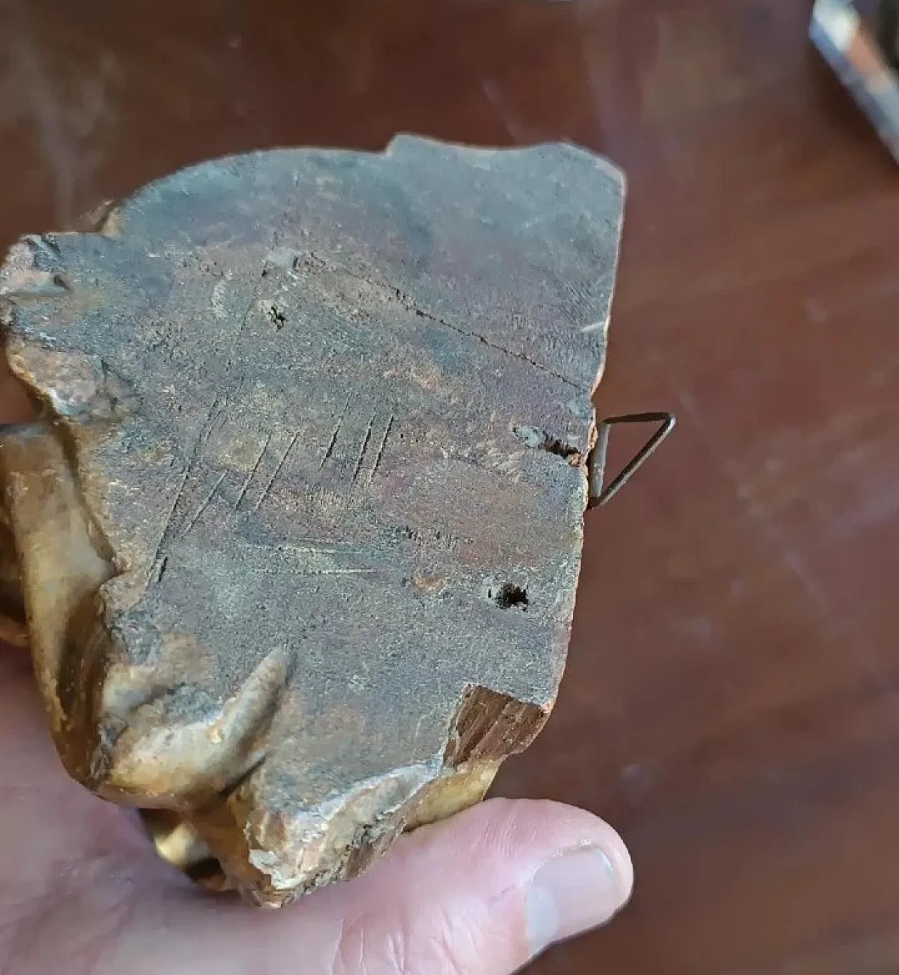 Gilded wooden frieze, 18th century 7