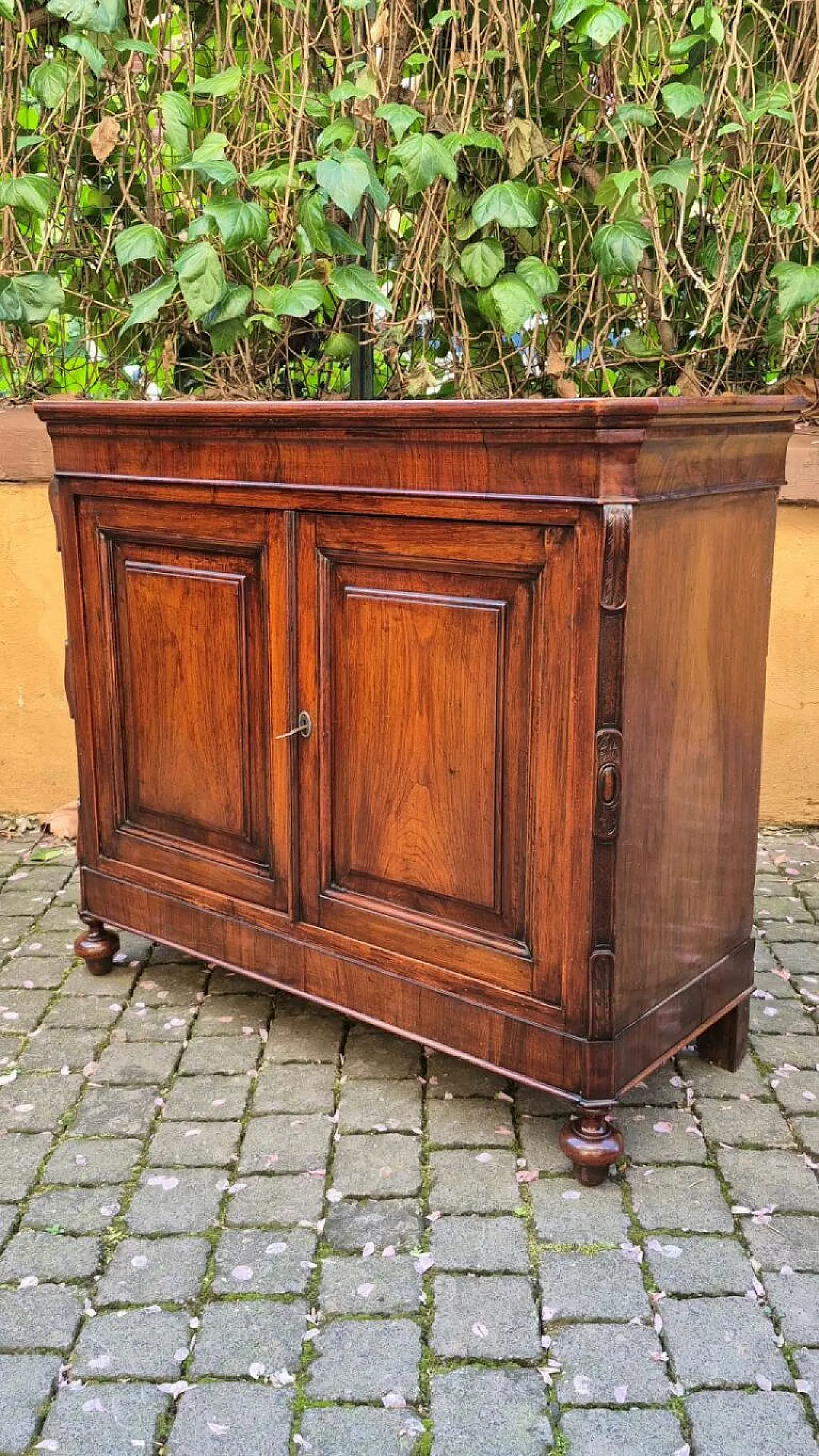 Coppia di credenze in legno di noce, '800 5