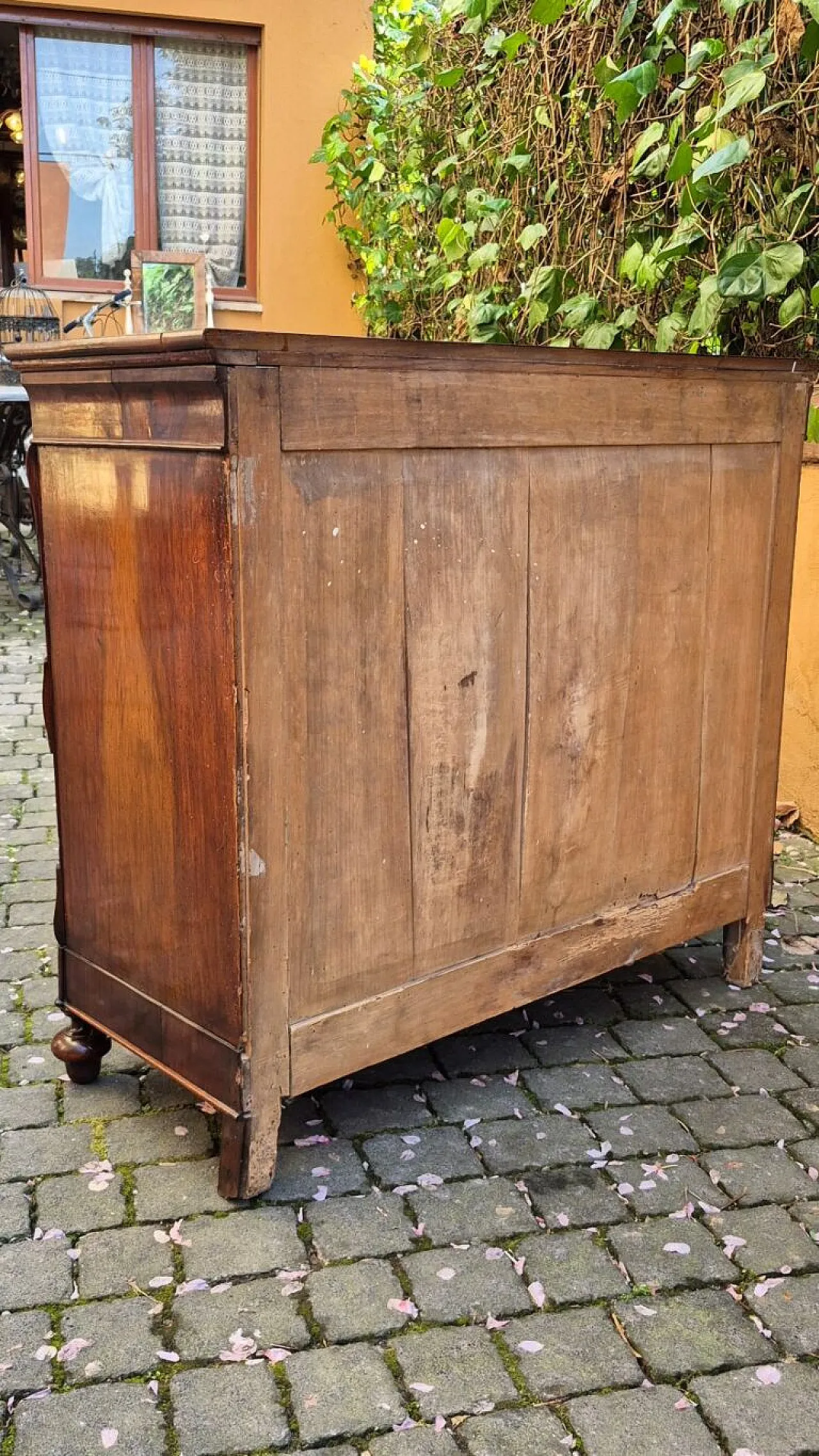 Coppia di credenze in legno di noce, '800 10