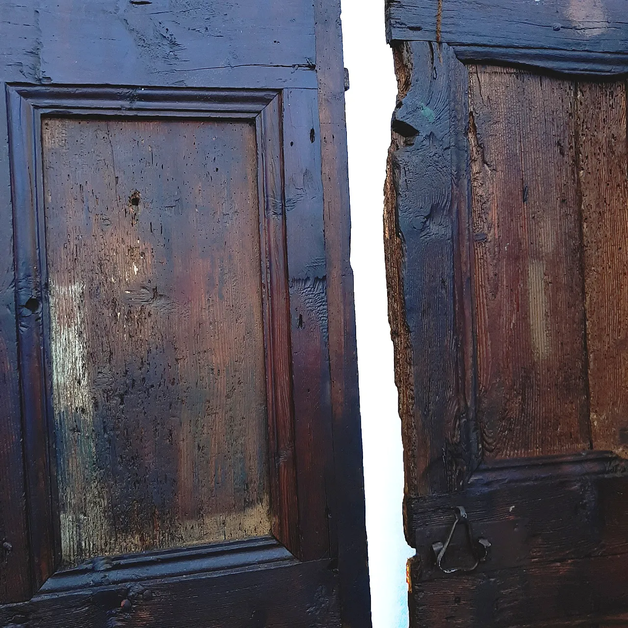 Pair of antique doors in solid wood, early 20th century 5