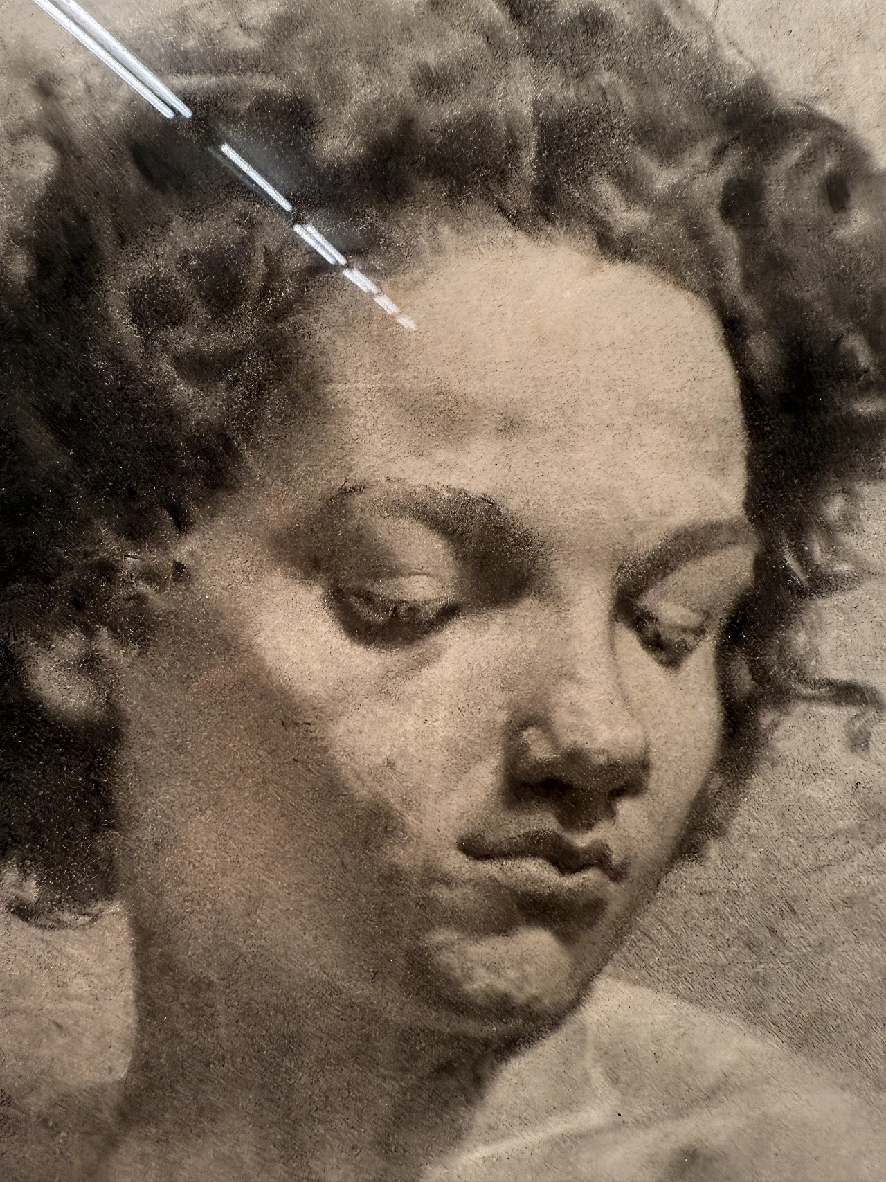 Sezza Luigi, Giovane di Roma, disegno su carta, '800 3