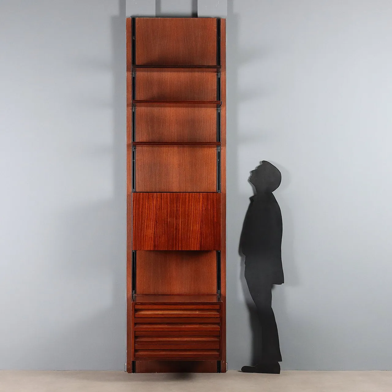 E22 bookcase by Osvaldo Borsani for Tecno, 20th century 3