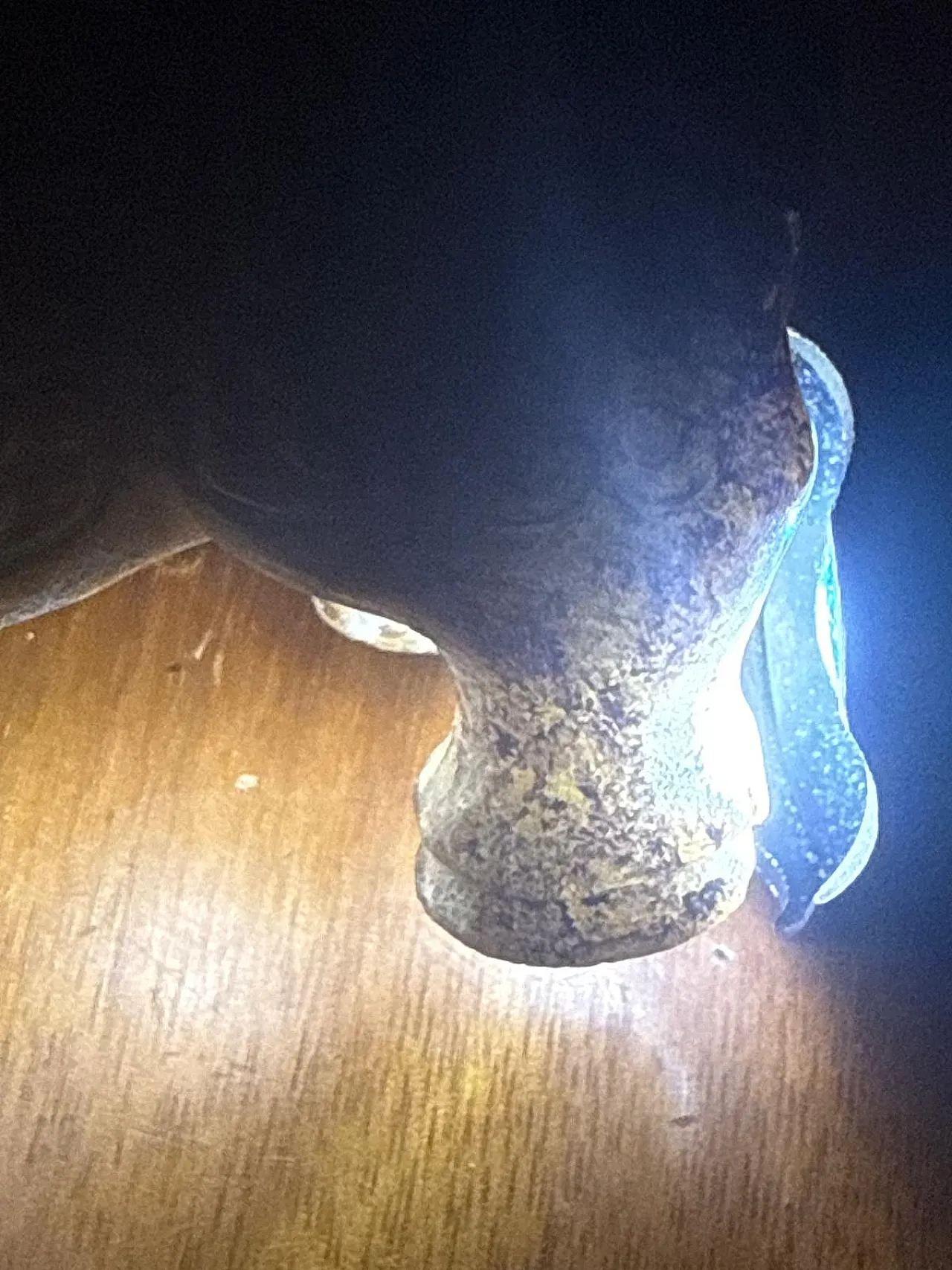 Figura cinese di rinoceronte in giada bianca, patina naturale, '600 10