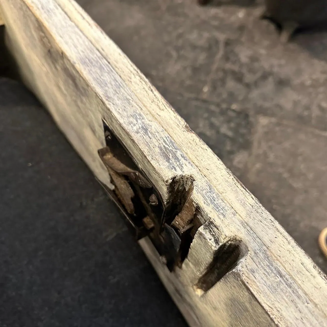 Cassapanca fiorentina in legno laccato bianco e nero, fine '800 17
