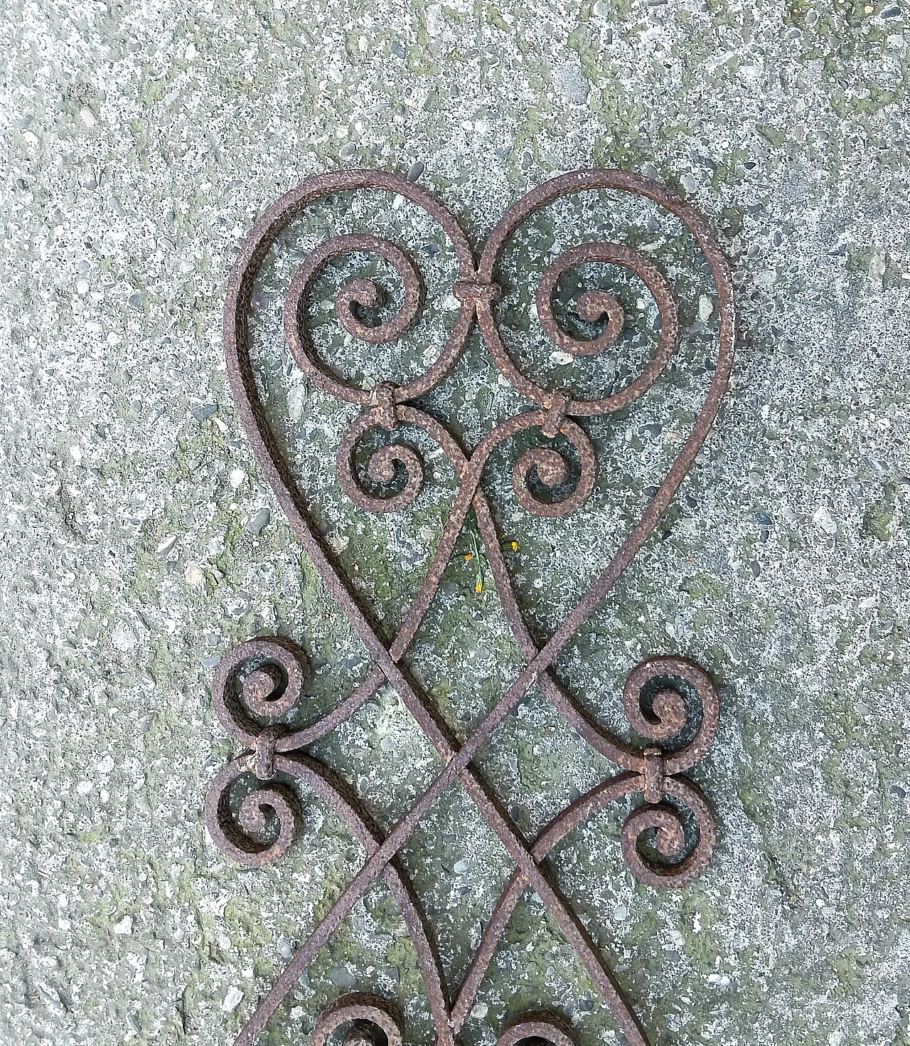 inferriata, elemento architettonico, anni '20 5