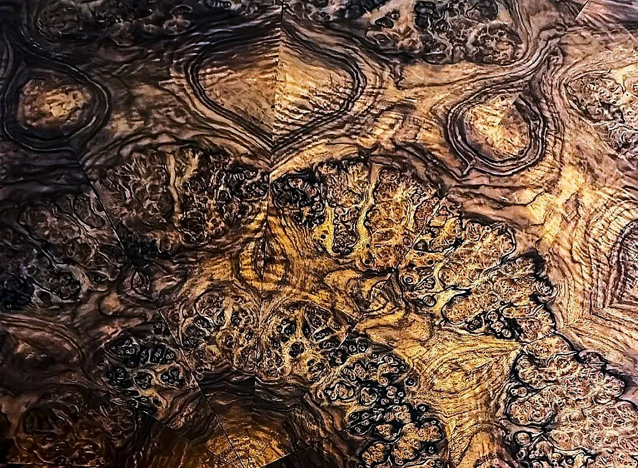 Tavolo rotondo in stile Biedermeier, '800 13