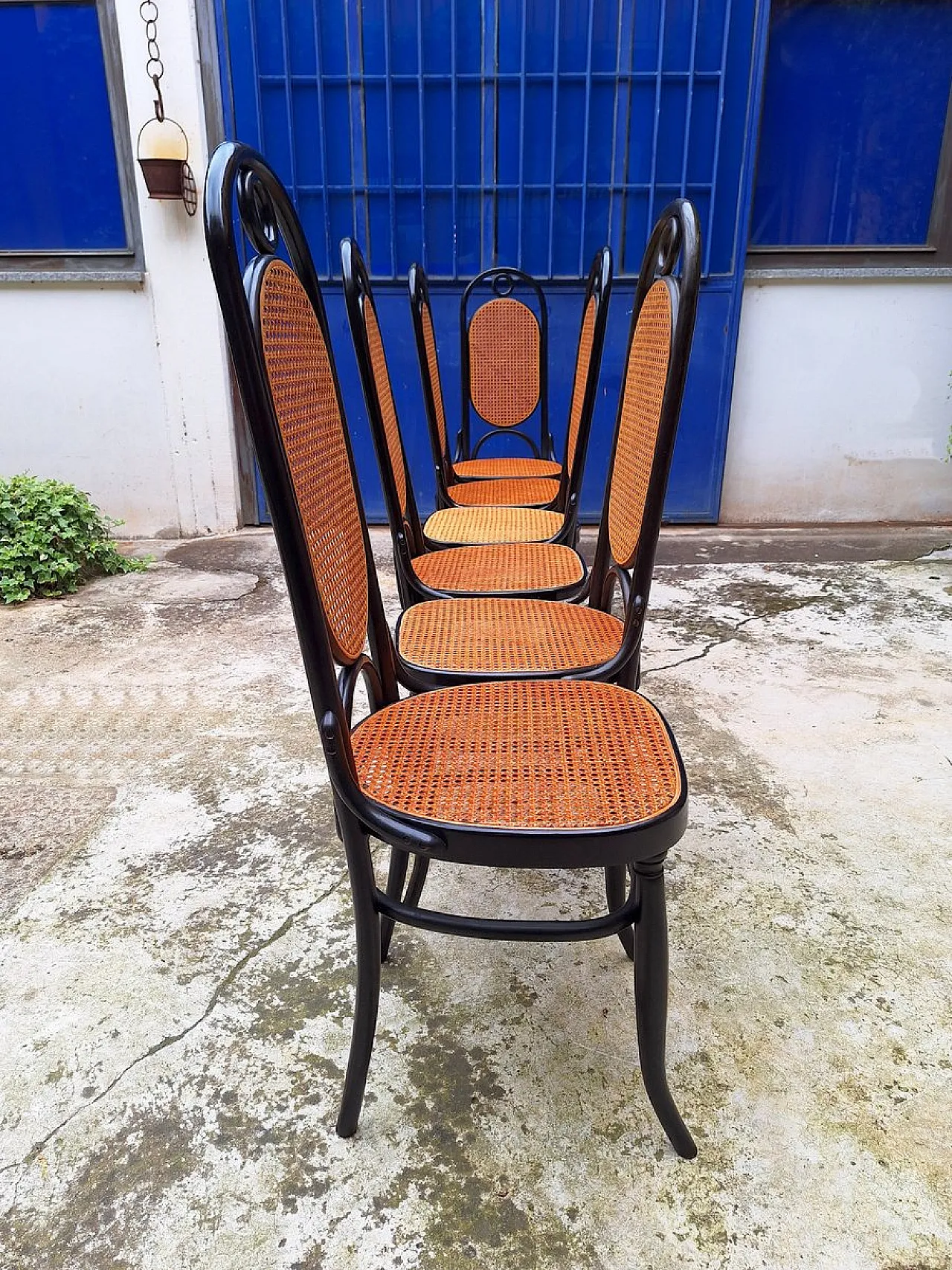 6 Model 21 chairs in beech and straw, 1970s 8