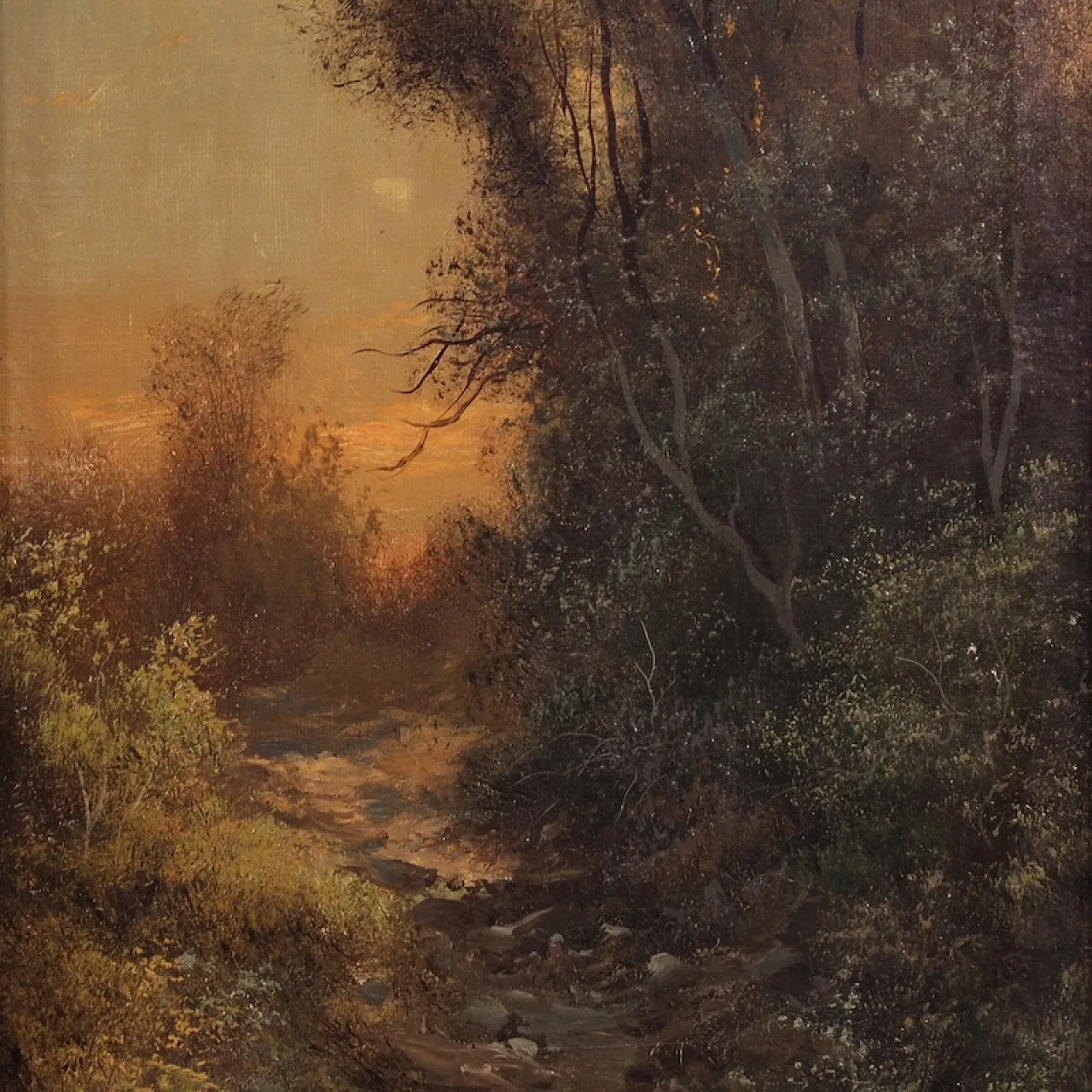 Paesaggio boschivo di Marko, '800 2
