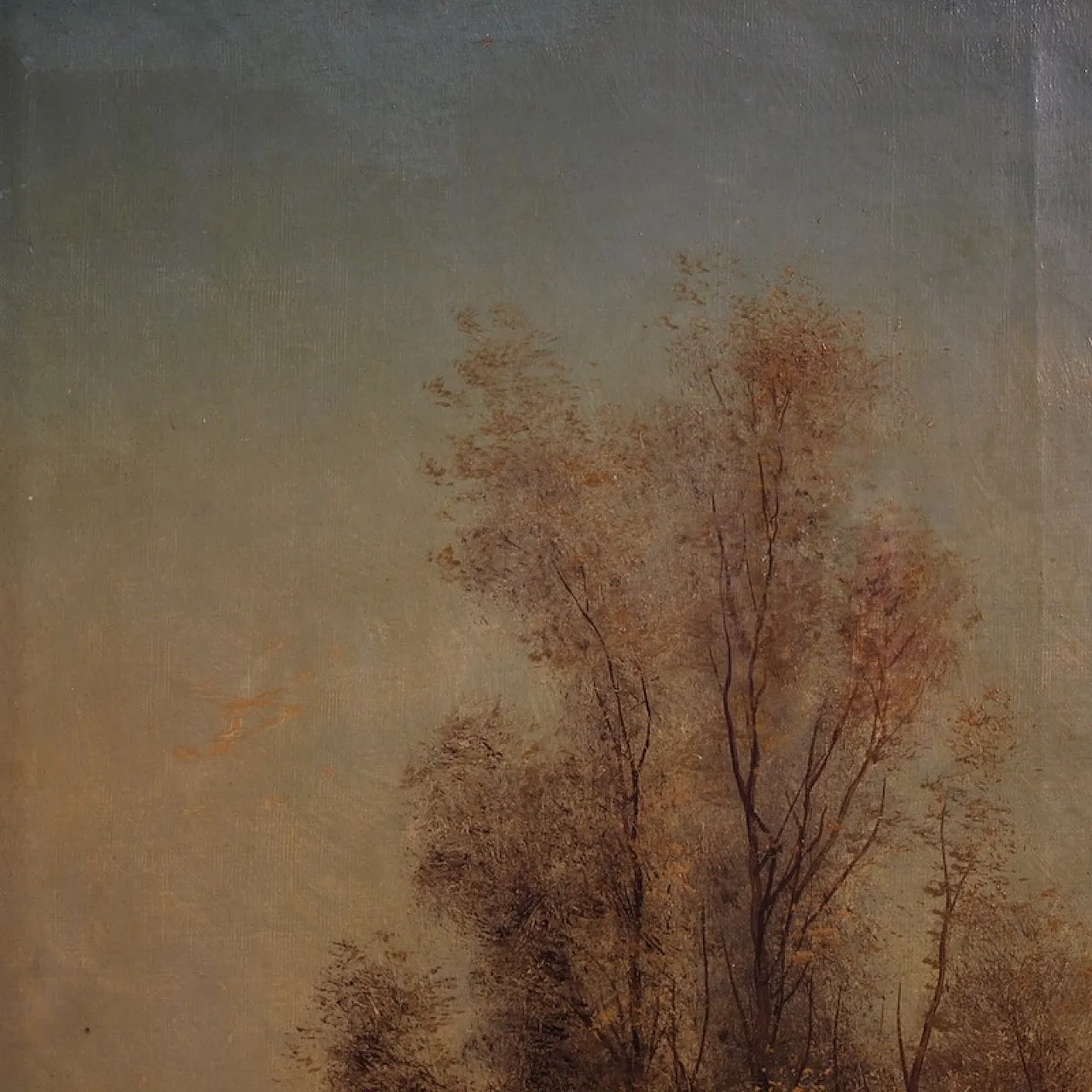 Paesaggio boschivo di Marko, '800 8