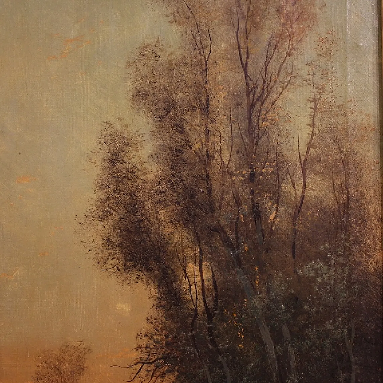 Paesaggio boschivo di Marko, '800 14