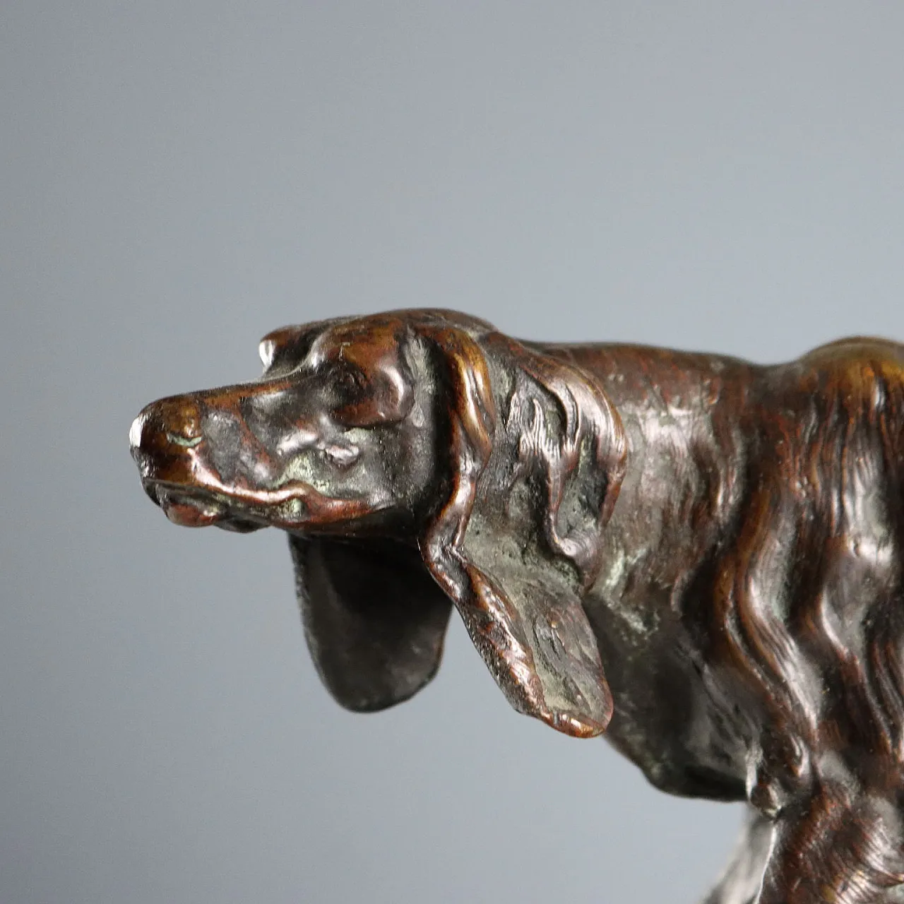 Bronze Hunting Dog, 20th century 3