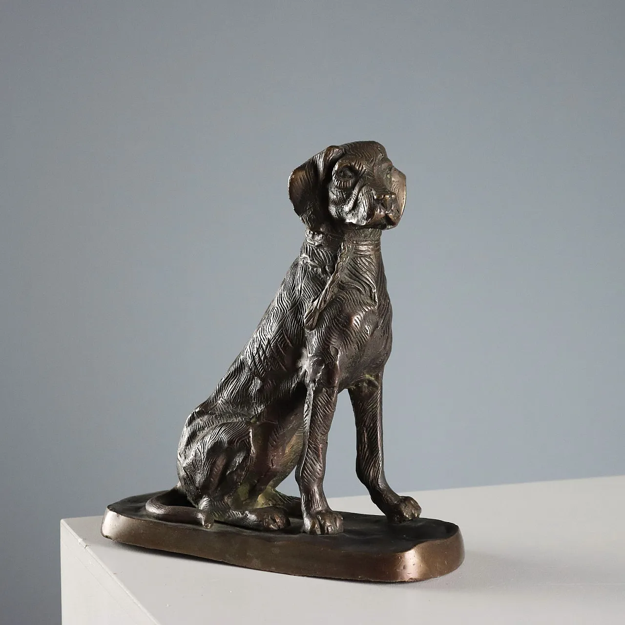 Cane in bronzo, '900 1