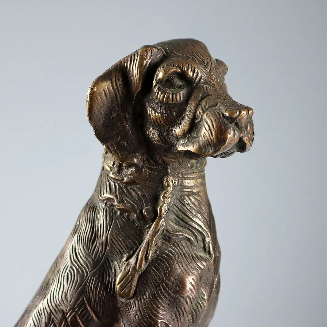 Cane in bronzo, '900 3