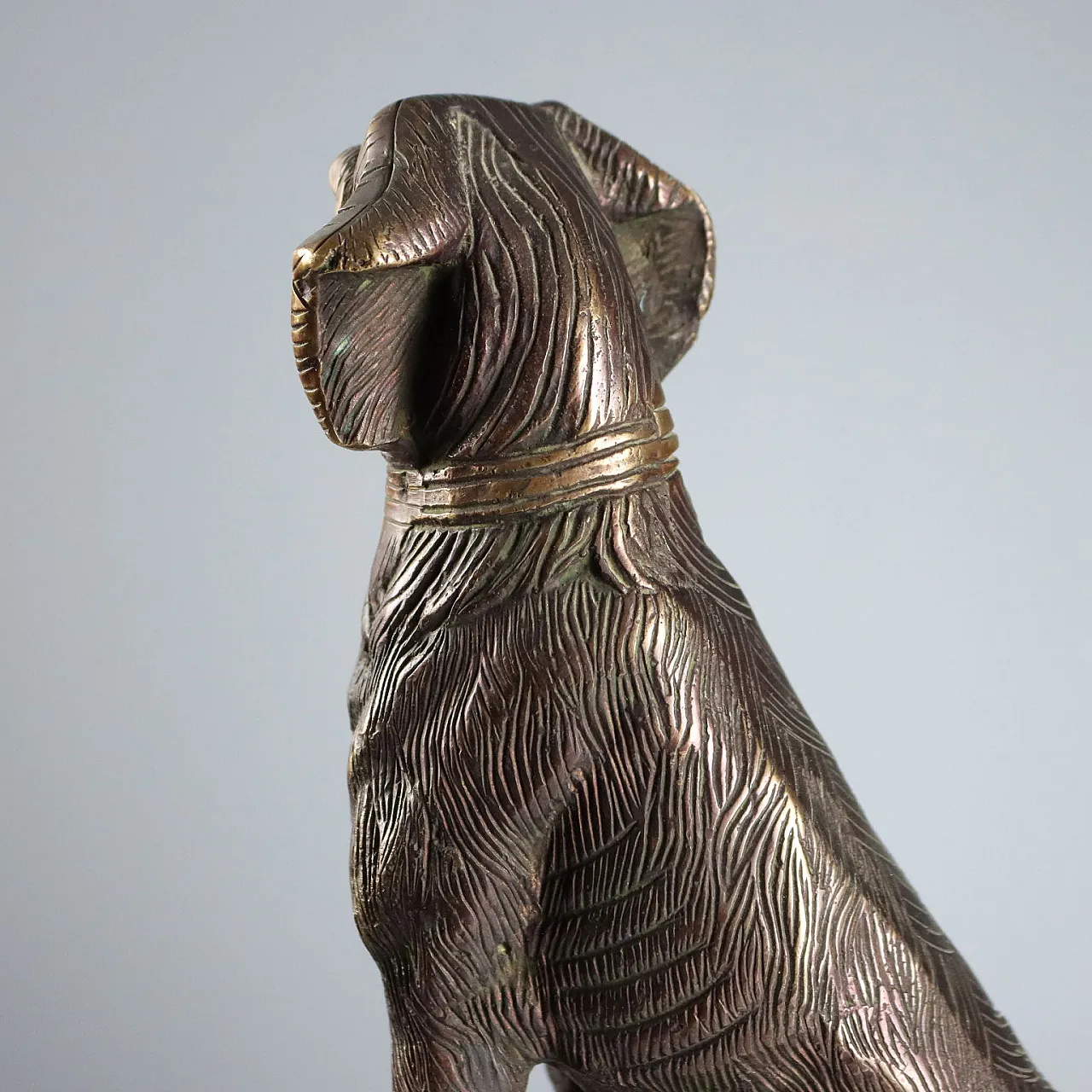 Cane in bronzo, '900 8