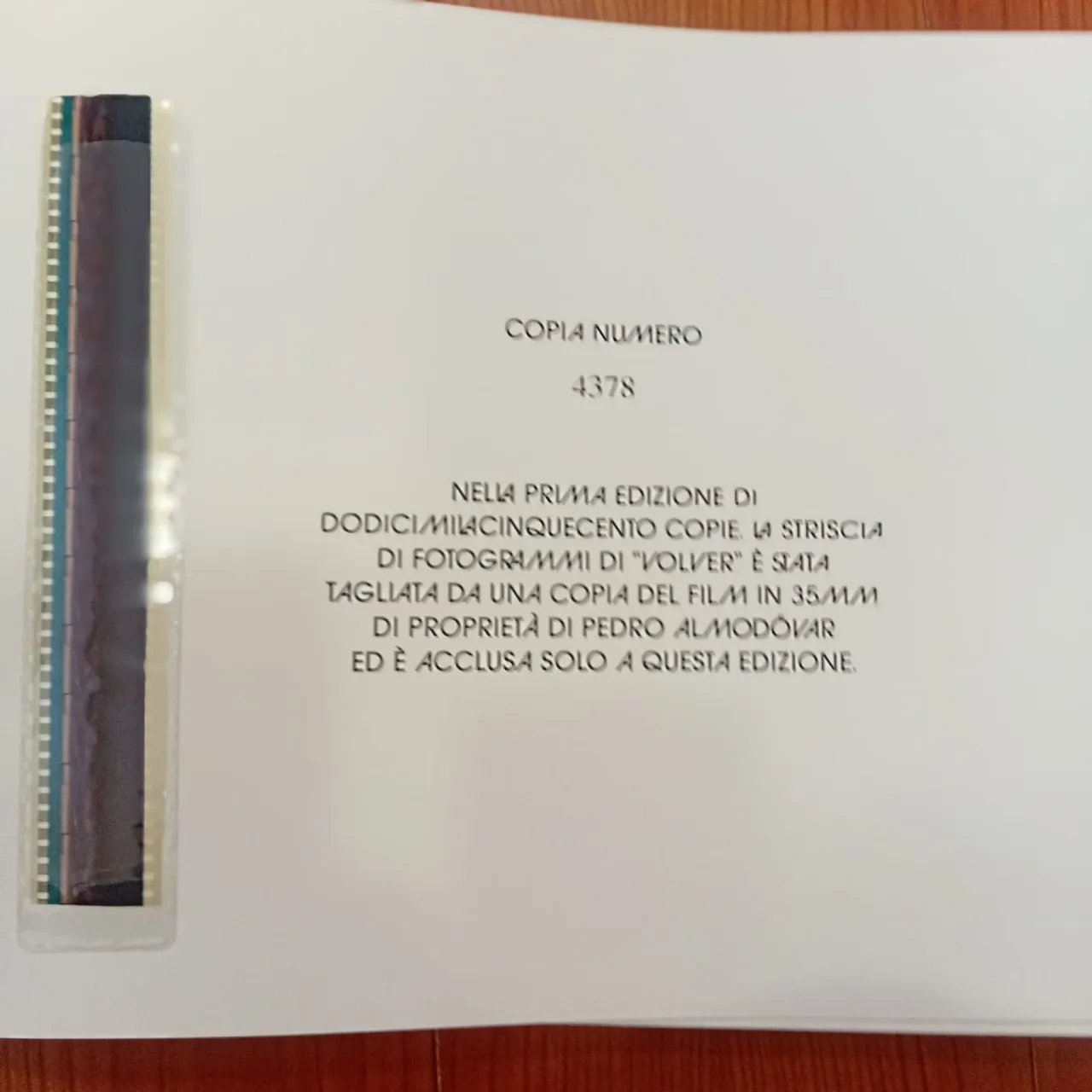 Gli archivi di Pedro Almodóvar 4
