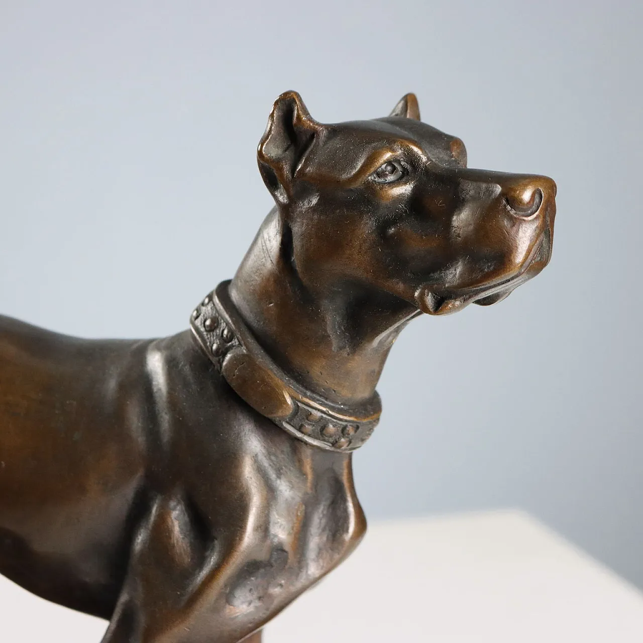 Bronze dog on black marble base, 20th century 3