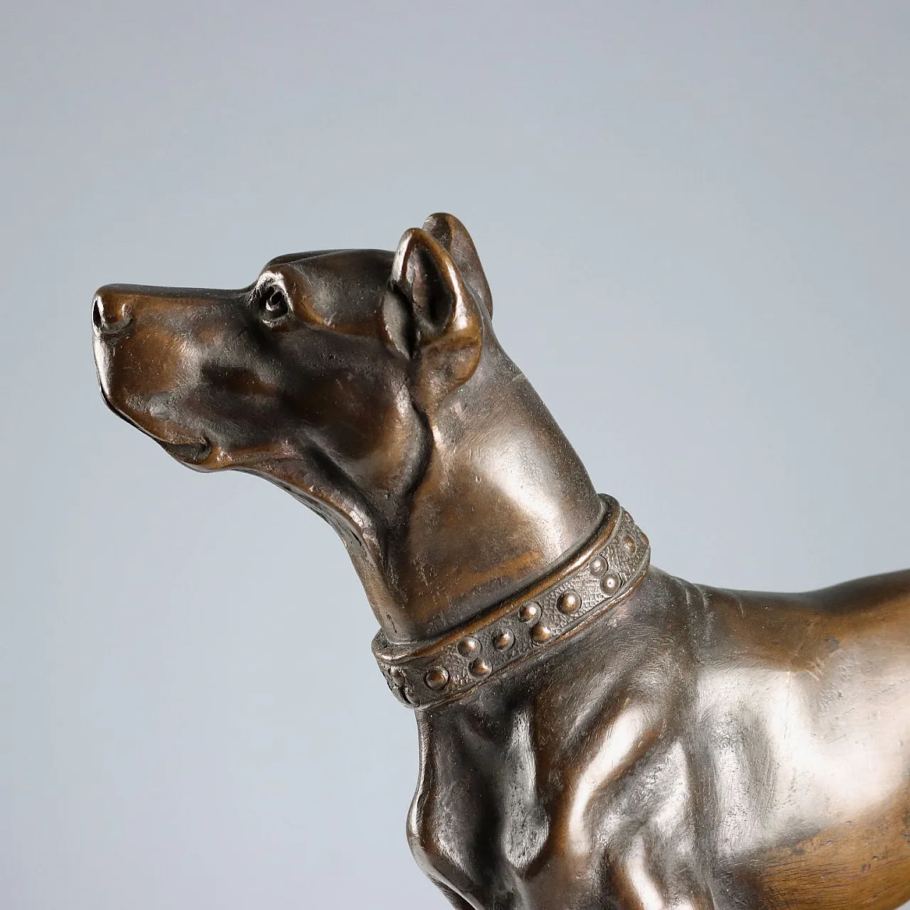 Bronze dog on black marble base, 20th century 7