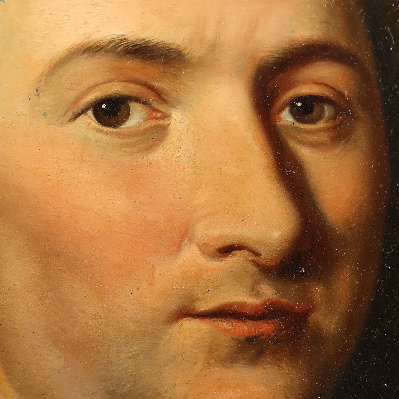 Portrait of Petrus Camper, oil panel, 18th century 4