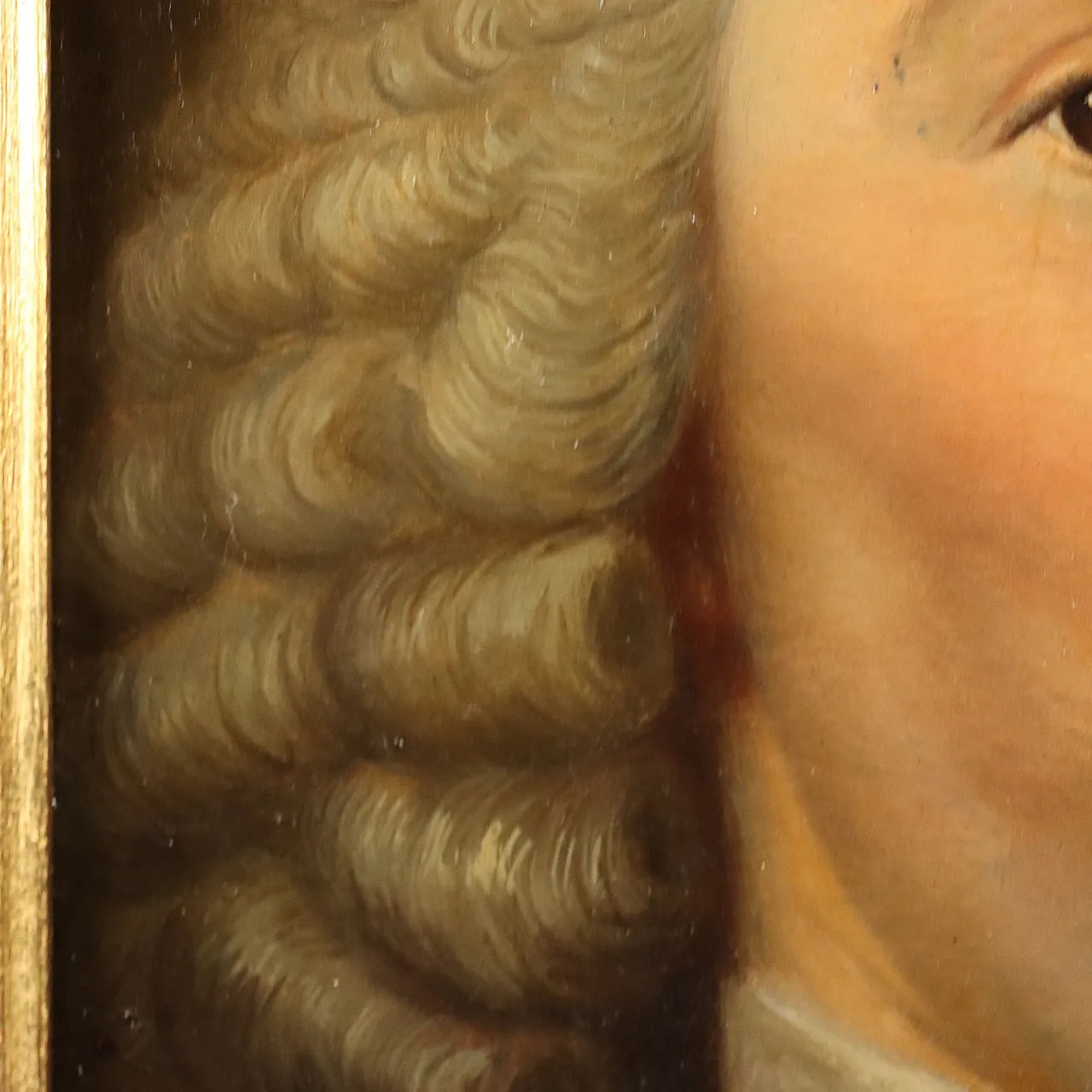 Portrait of Petrus Camper, oil panel, 18th century 5