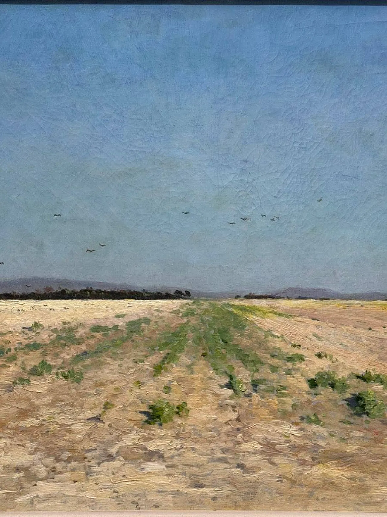 Sunny Field in Champagne - Armand Guéry, Oil on Canvas, 19th Century 4