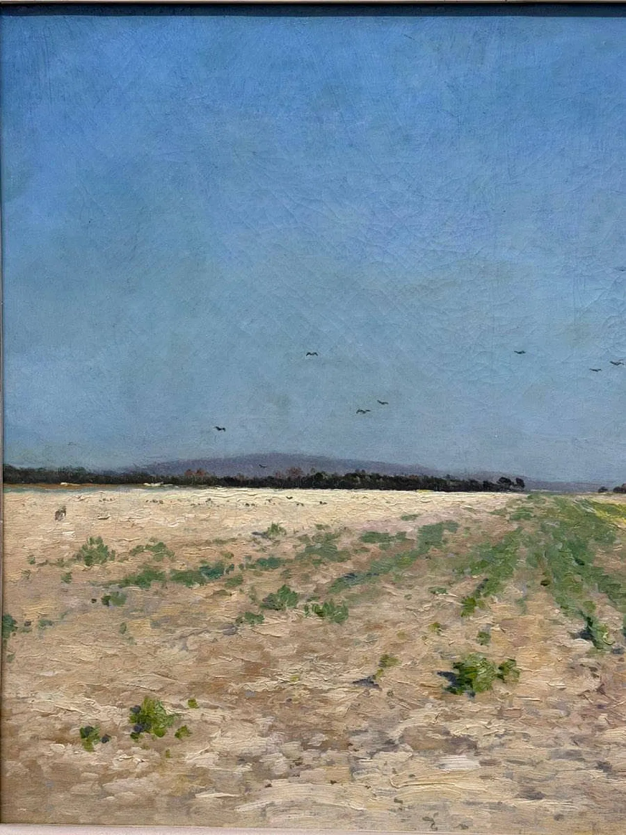 Sunny Field in Champagne - Armand Guéry, Oil on Canvas, 19th Century 5