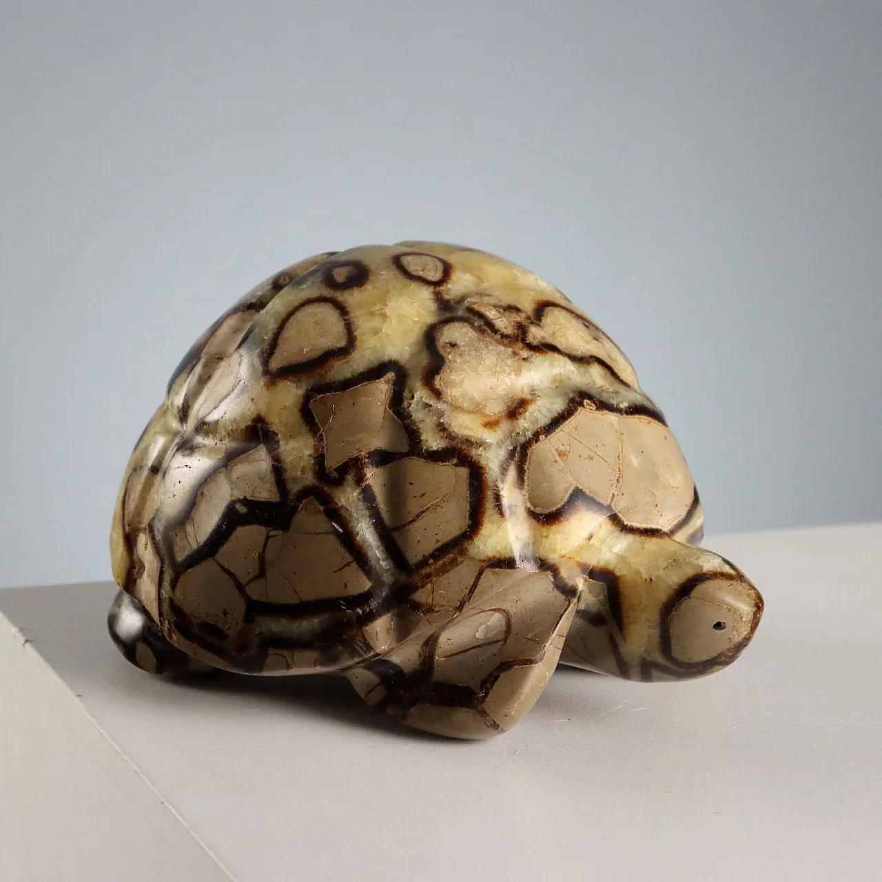 Septaria stone turtle from Madagascar, 20th century 1