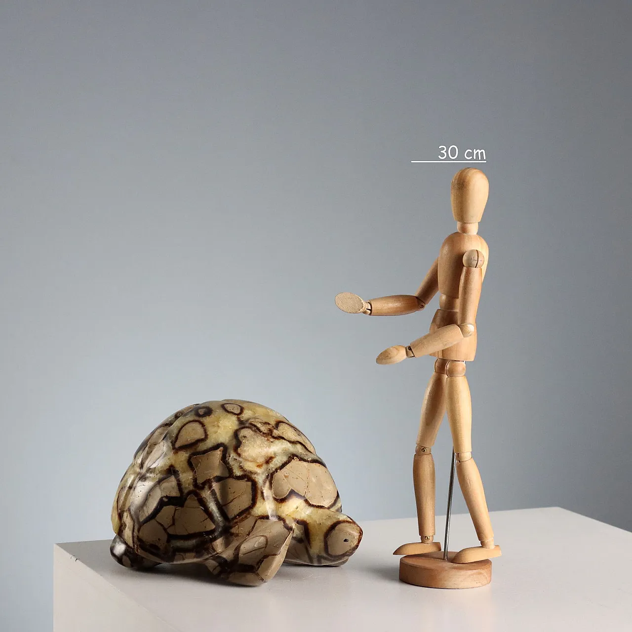 Septaria stone turtle from Madagascar, 20th century 2
