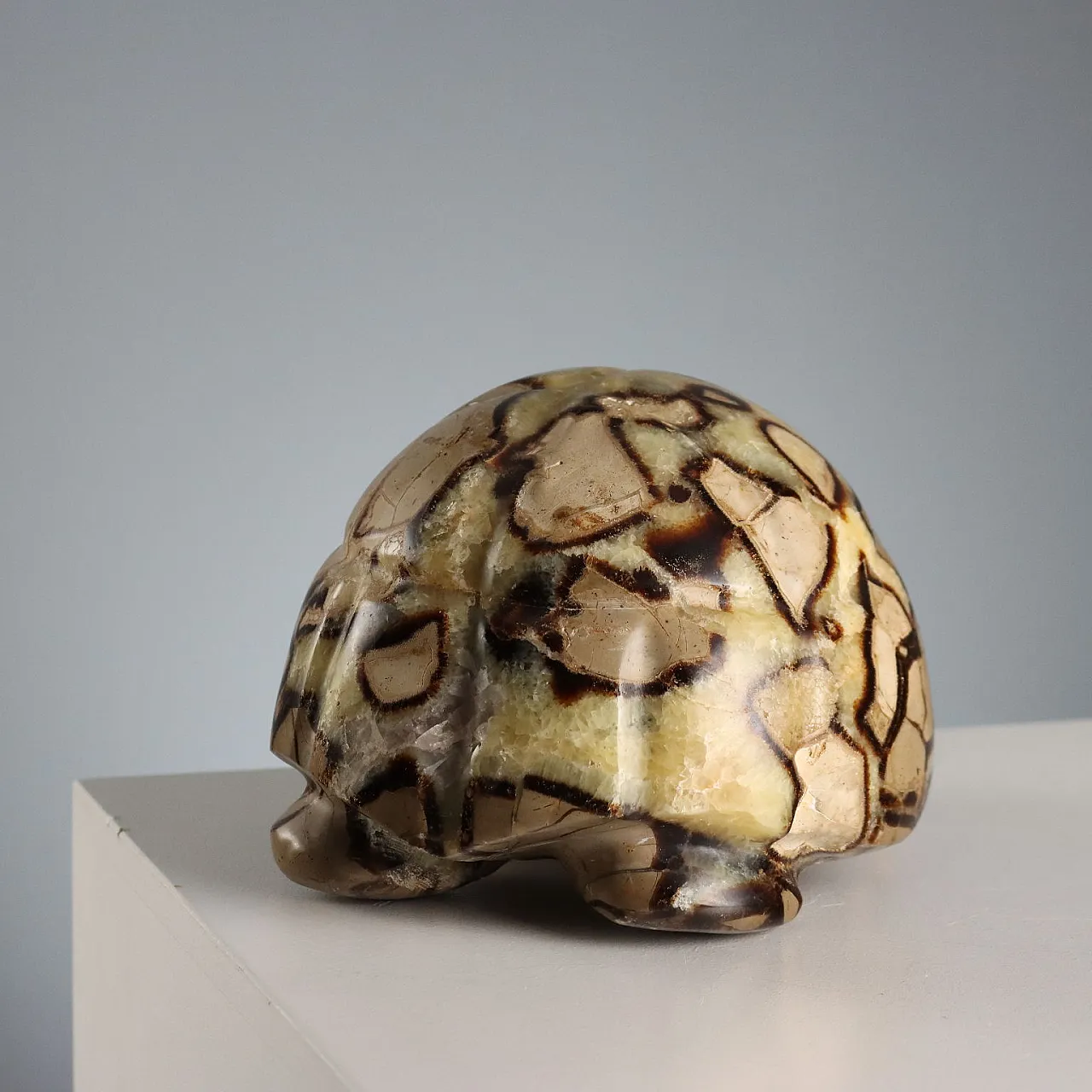 Septaria stone turtle from Madagascar, 20th century 6