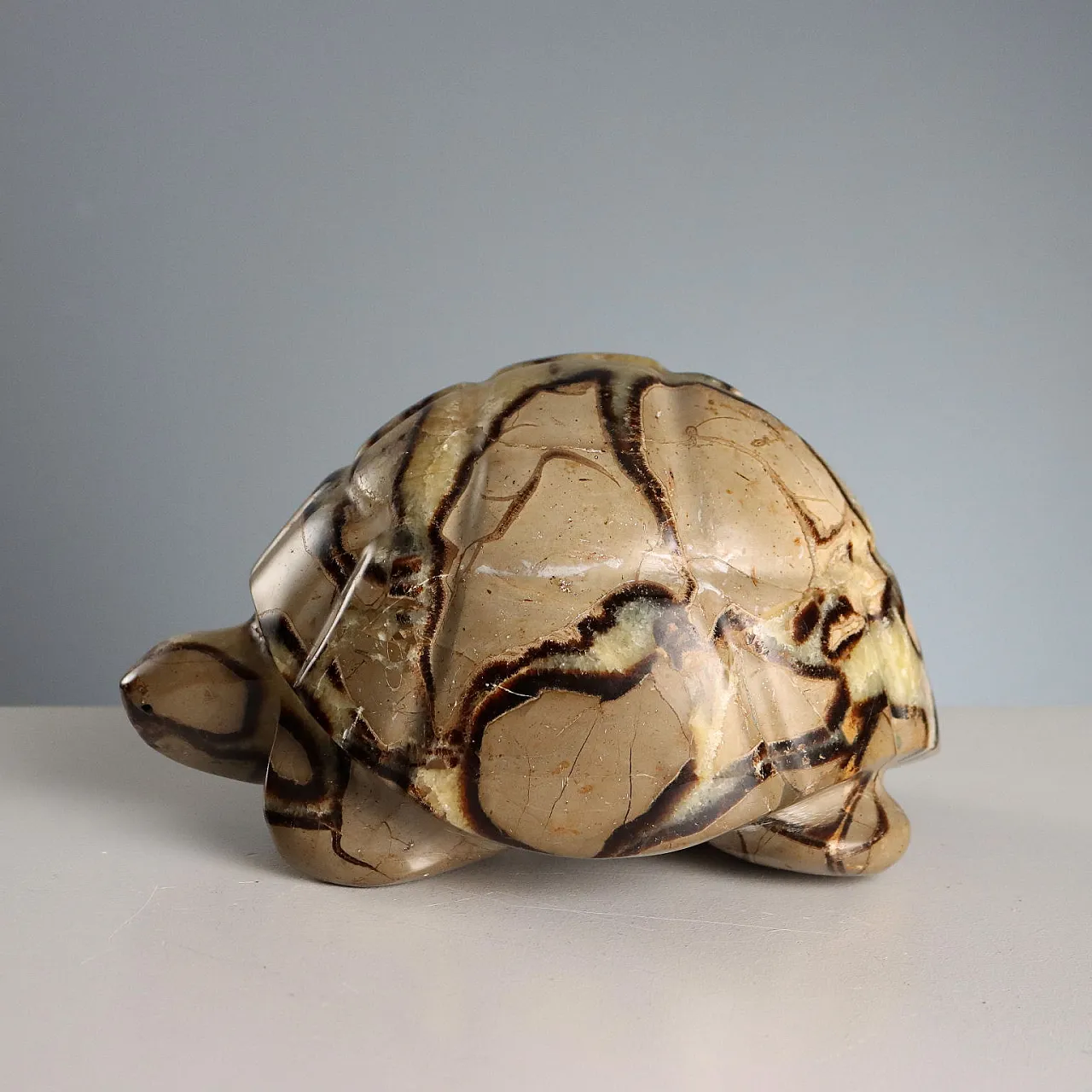 Septaria stone turtle from Madagascar, 20th century 7
